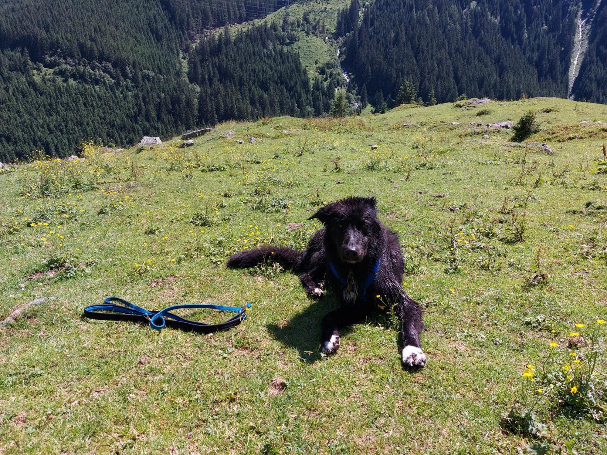 Fasserhof Bramberg am Wildkogel Exteriör bild