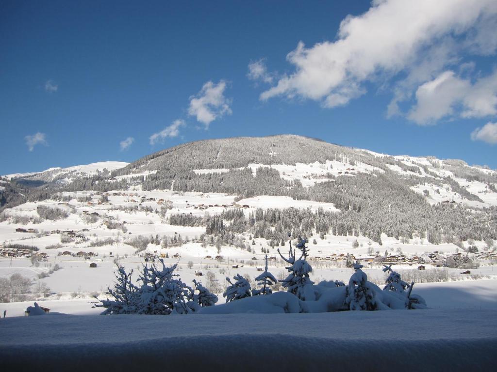 Fasserhof Bramberg am Wildkogel Rum bild