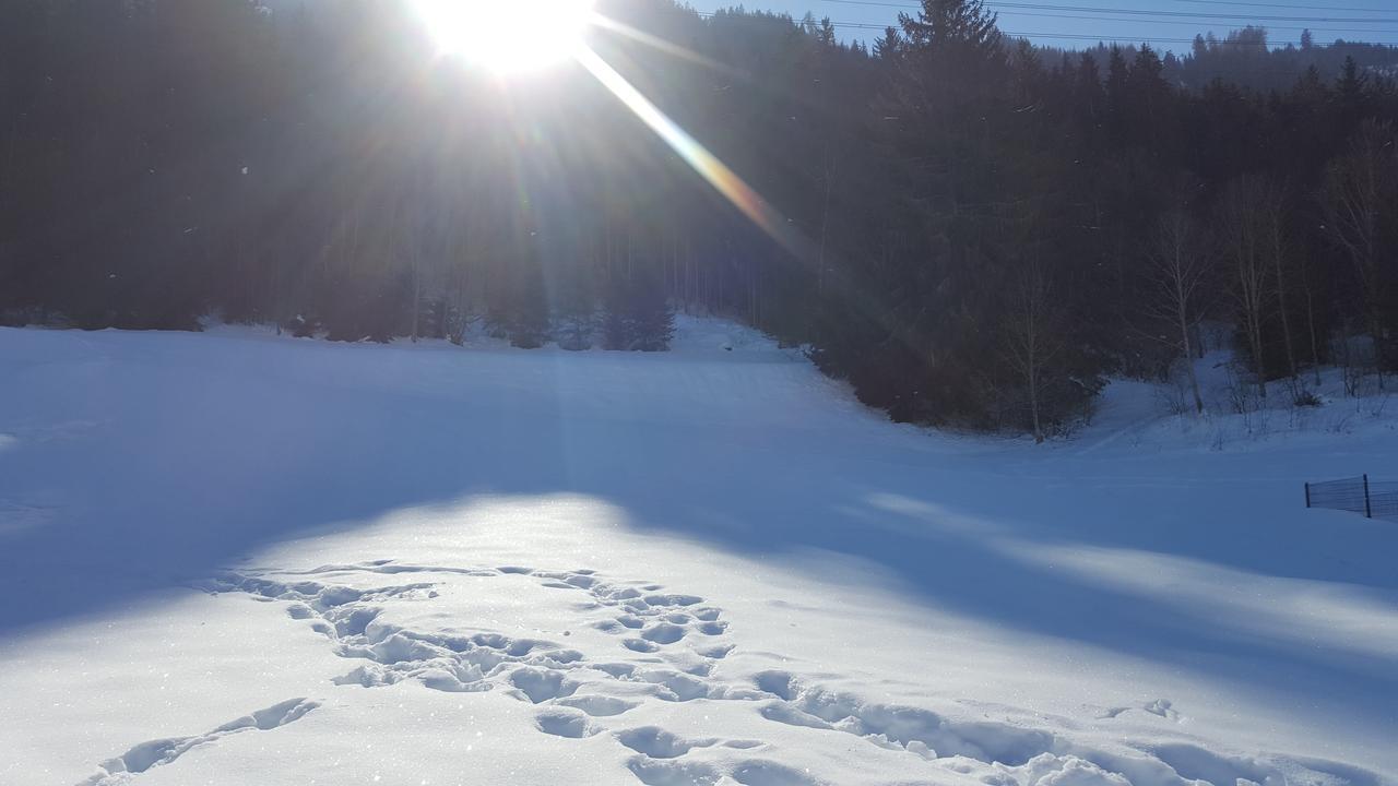 Fasserhof Bramberg am Wildkogel Exteriör bild